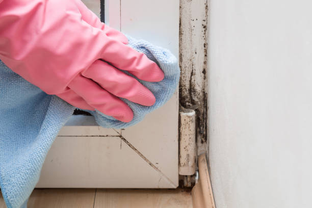 Asbestos and Lead Testing During Mold Inspection in Green Bay, WI